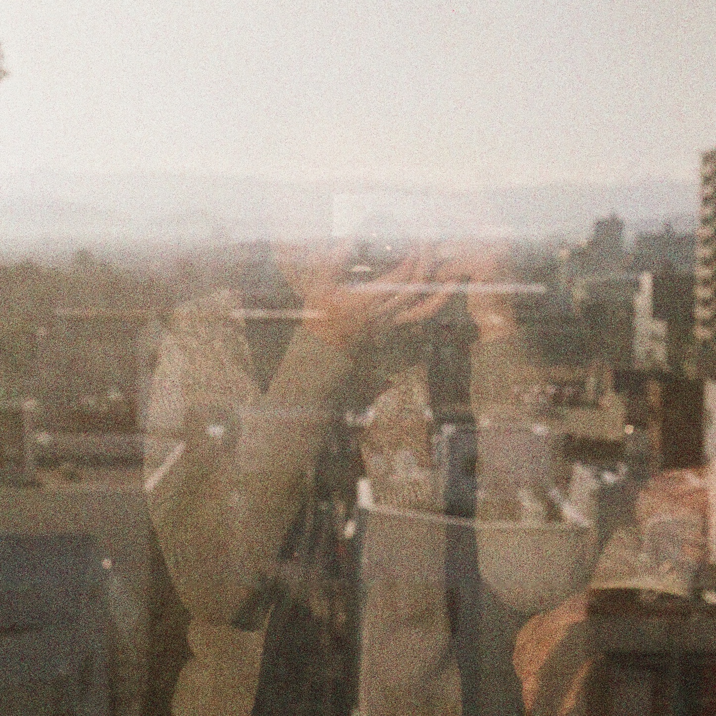 Portrait of Urania Chiu